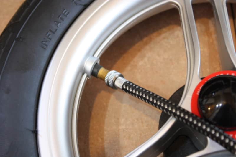 マイクラライトtoro