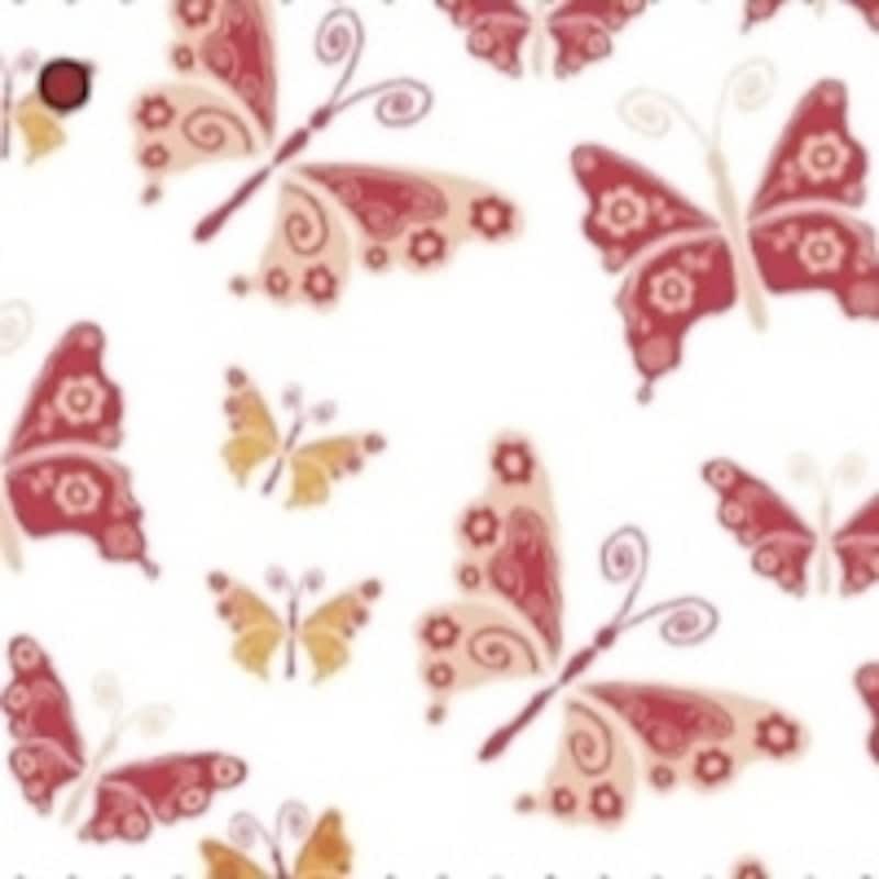 マンジュカ／スウィートバタフライ（限定カラー）