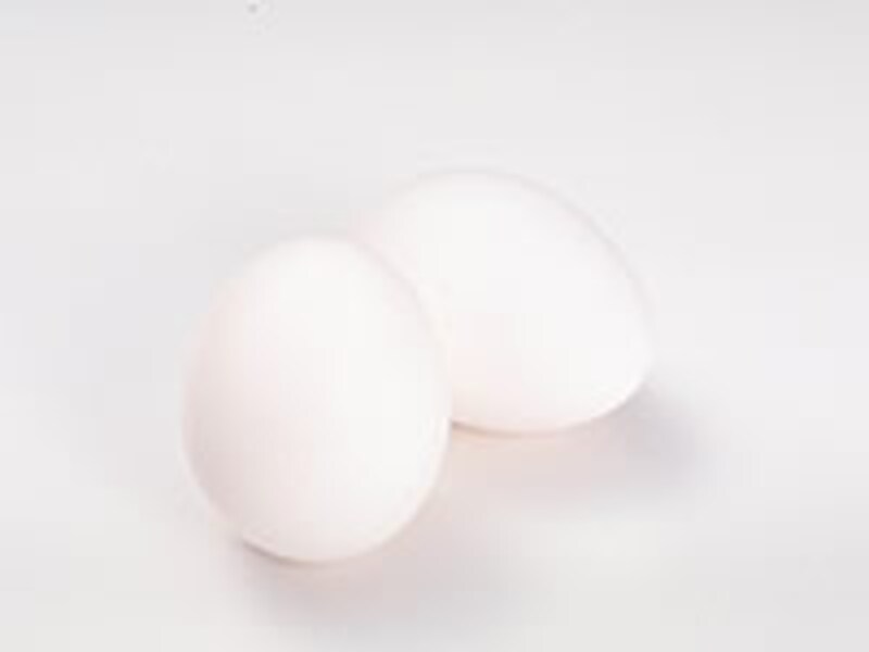 まっ白な卵