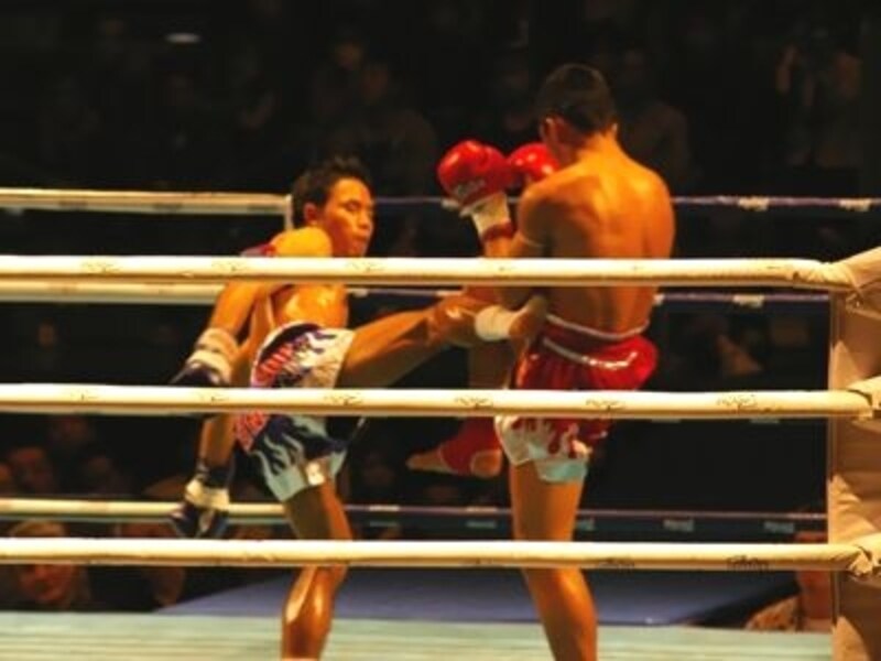 テレビで見るよりも実際に観戦に行くと迫力がまったく違う！