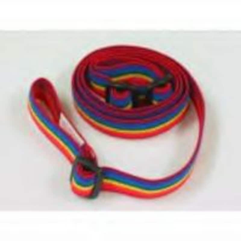 いたずらっ子 おさんぽヨチヨチ