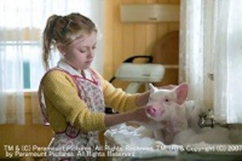 小さなウィルバー