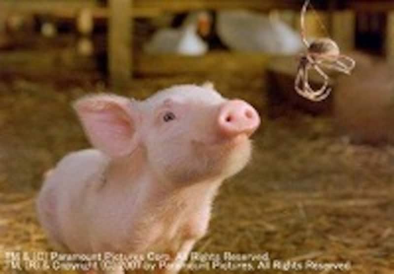 シャーロットとウィルバー