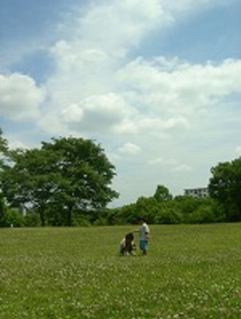 公園で遊ぶ子どもたち