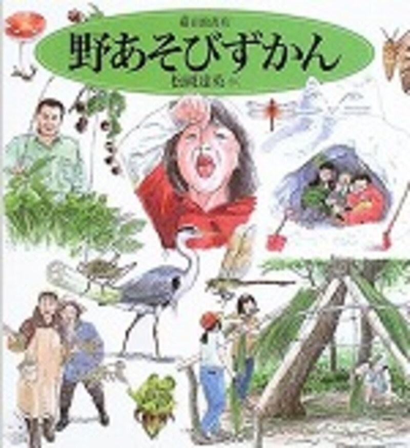『野あそびずかん』