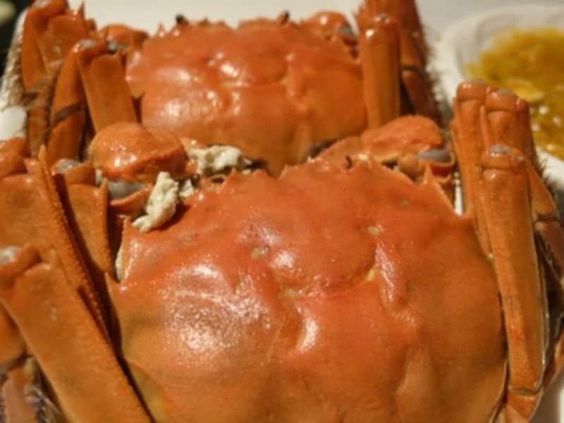 「昨日は蟹を5ハイも食べたよ！」秋になると蟹話で持ち切りの上海