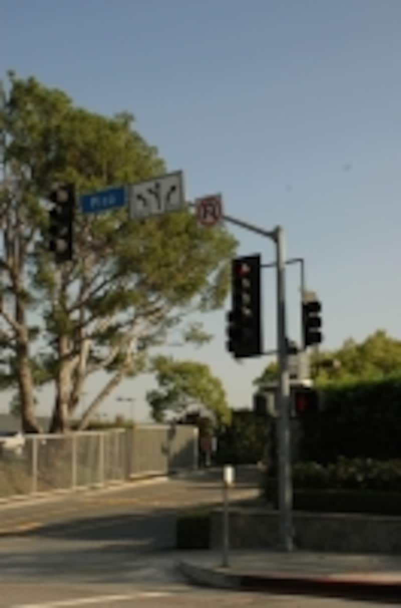 赤信号でも車が来ていなければ右折OK