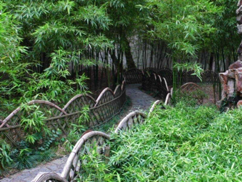 滄浪亭の竹林。曲線を多用した歩道は一歩進むごとに景色が変わる（一歩一景）。園内には茶館もあって、中国茶を楽しむこともできる