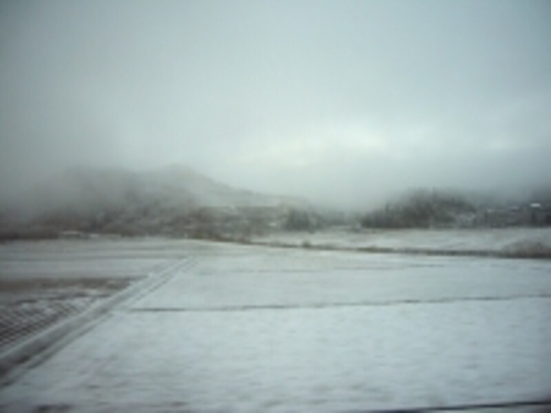 弘前到着直前にカーテンを開けると、外は一面雪景色でした！