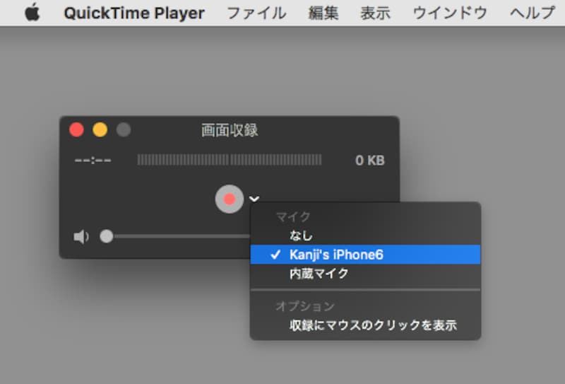 画面収録では、マイク音声や外部音源しか選択できない（クリックで拡大）