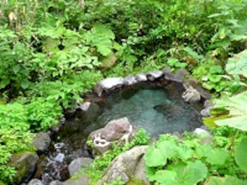 旭岳の自然環境を感じる白樺荘ユースのワイルドな露天風呂