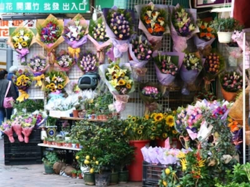 日本にはない珍しい花があるかも