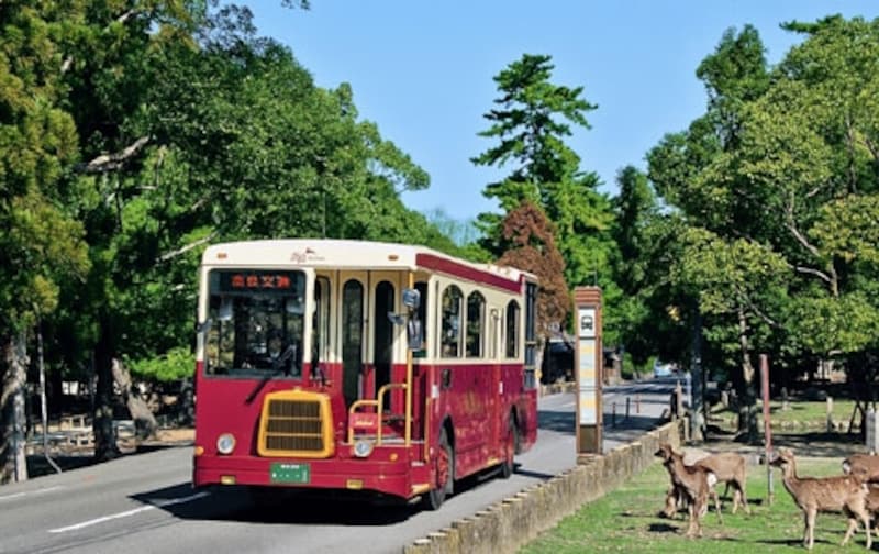 奈良市街を回る通常路線バス「バンビーナ」