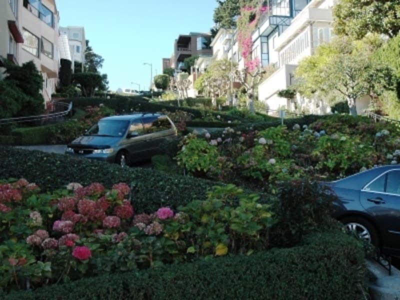 ロンバードストリートは下から写真を撮りましょう！