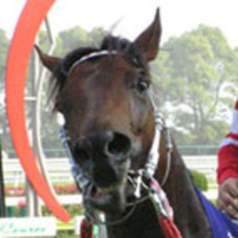 タップダンスシチー