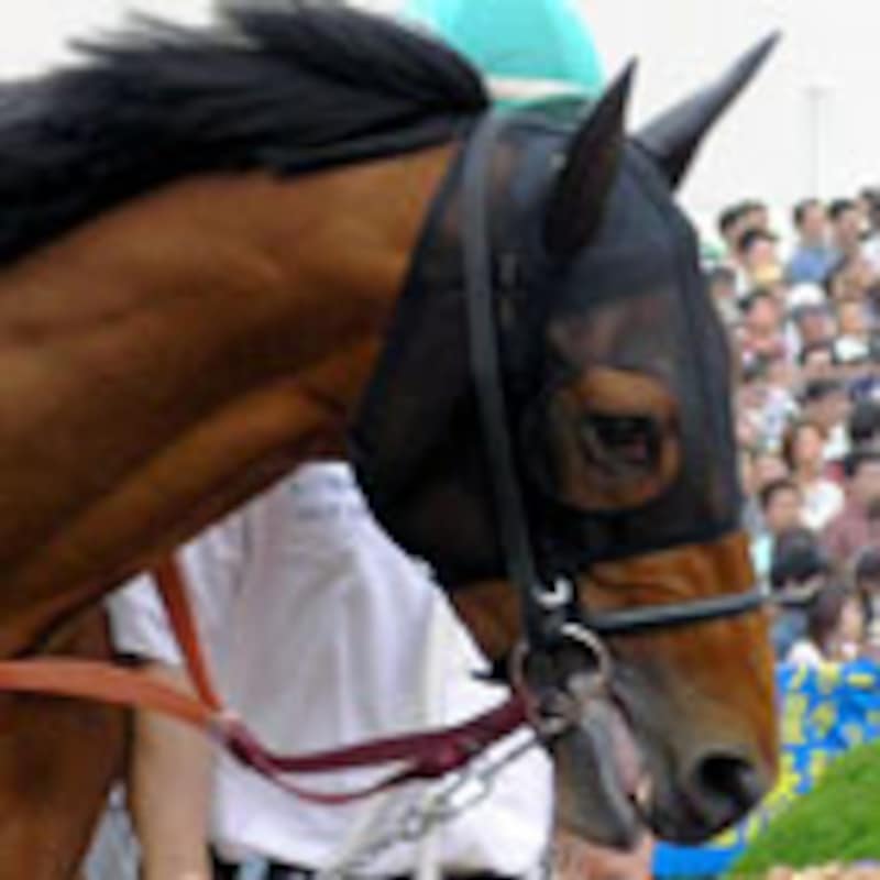 ザッツザプレンティ