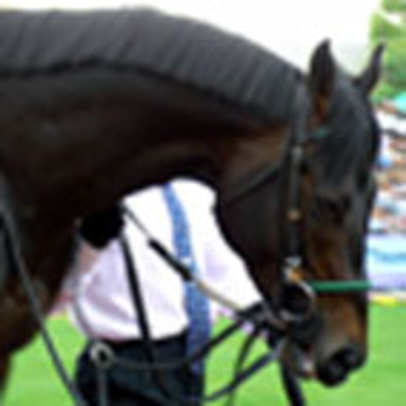 ゼンノロブロイ