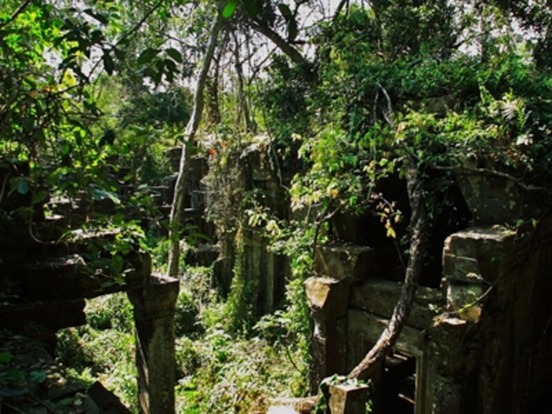 ジャングルに浸食されたペンメリア。この遺跡はアンコールとは別に、「ペンメリア遺跡群」としてカンボジアの世界遺産暫定リストに記載されている