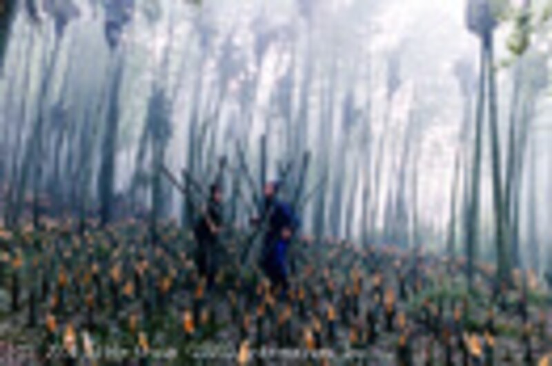 映画『LOVERS』/十面埋伏の来日会見&ジャパンプレミア