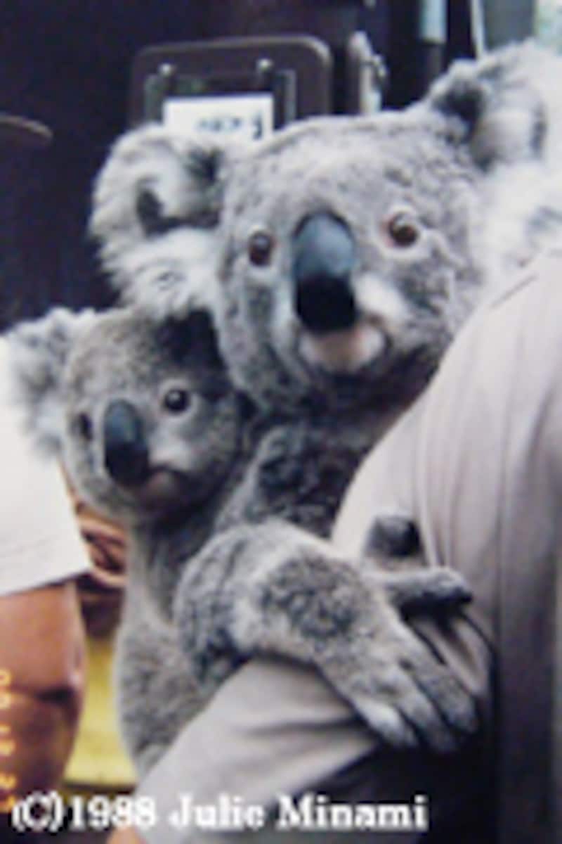 『親切なクムジャさん』朴贊郁（パク・チャヌク）監督×李英愛（イ・ヨンエ）