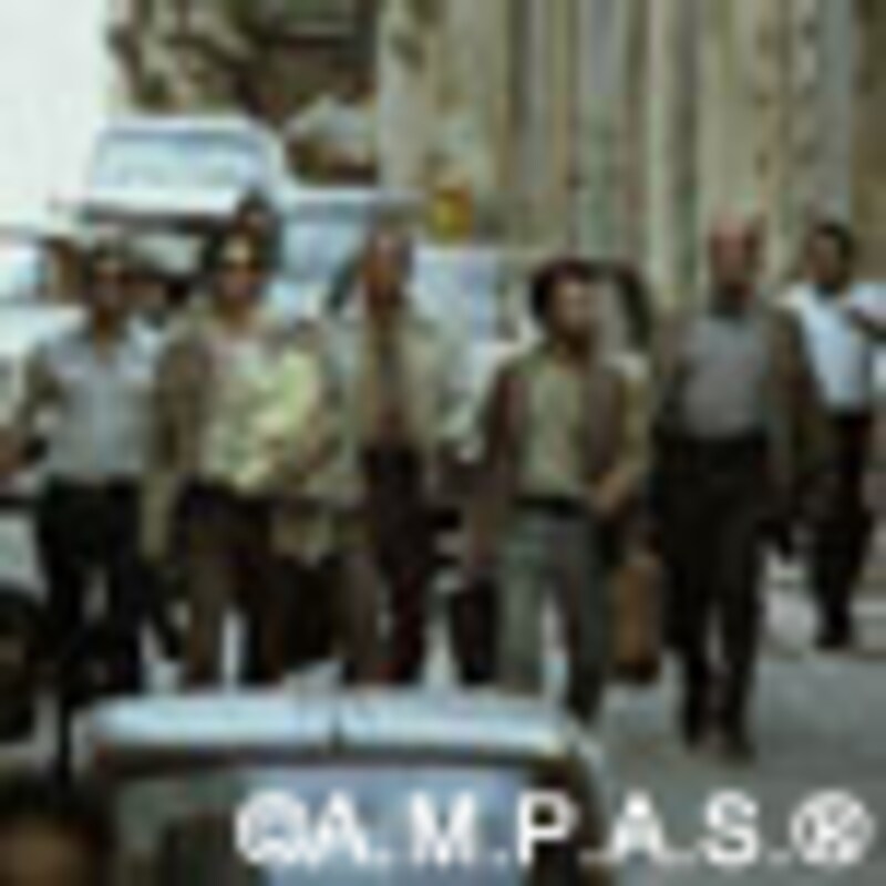 第78回アカデミー賞／the 78th Academy Awards