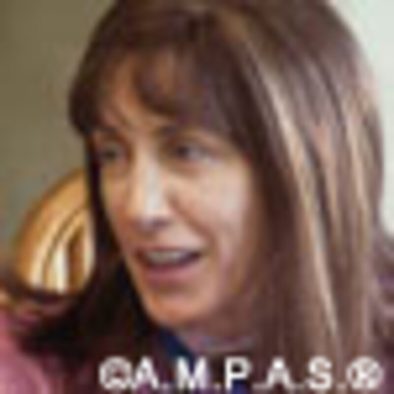 第78回アカデミー賞／the 78th Academy Awards