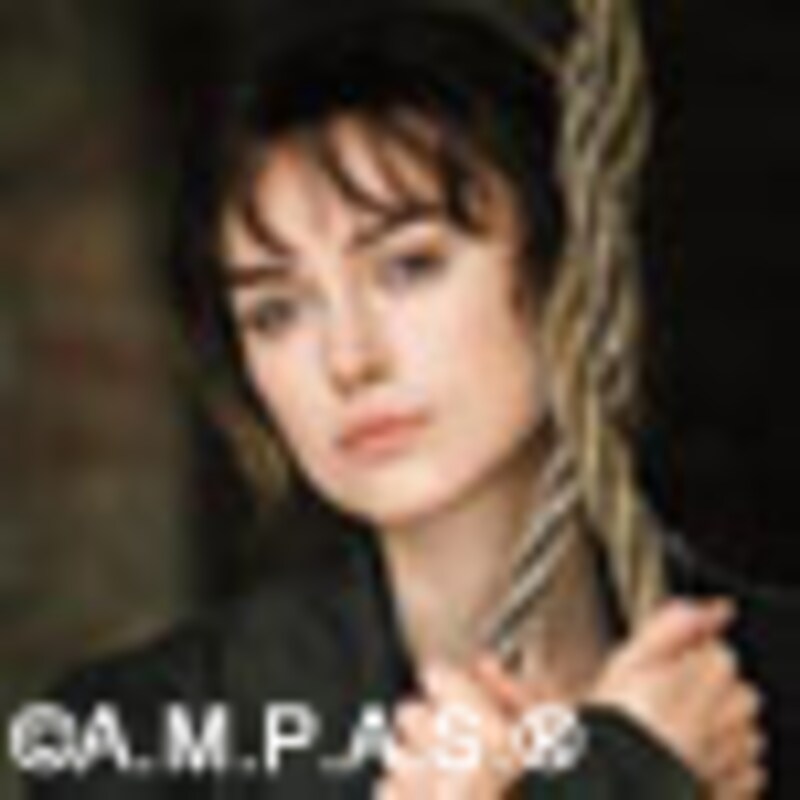 第78回アカデミー賞／the 78th Academy Awards