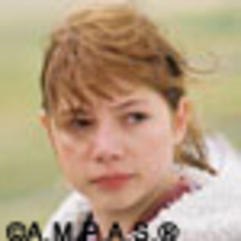 第78回アカデミー賞／the 78th Academy Awards