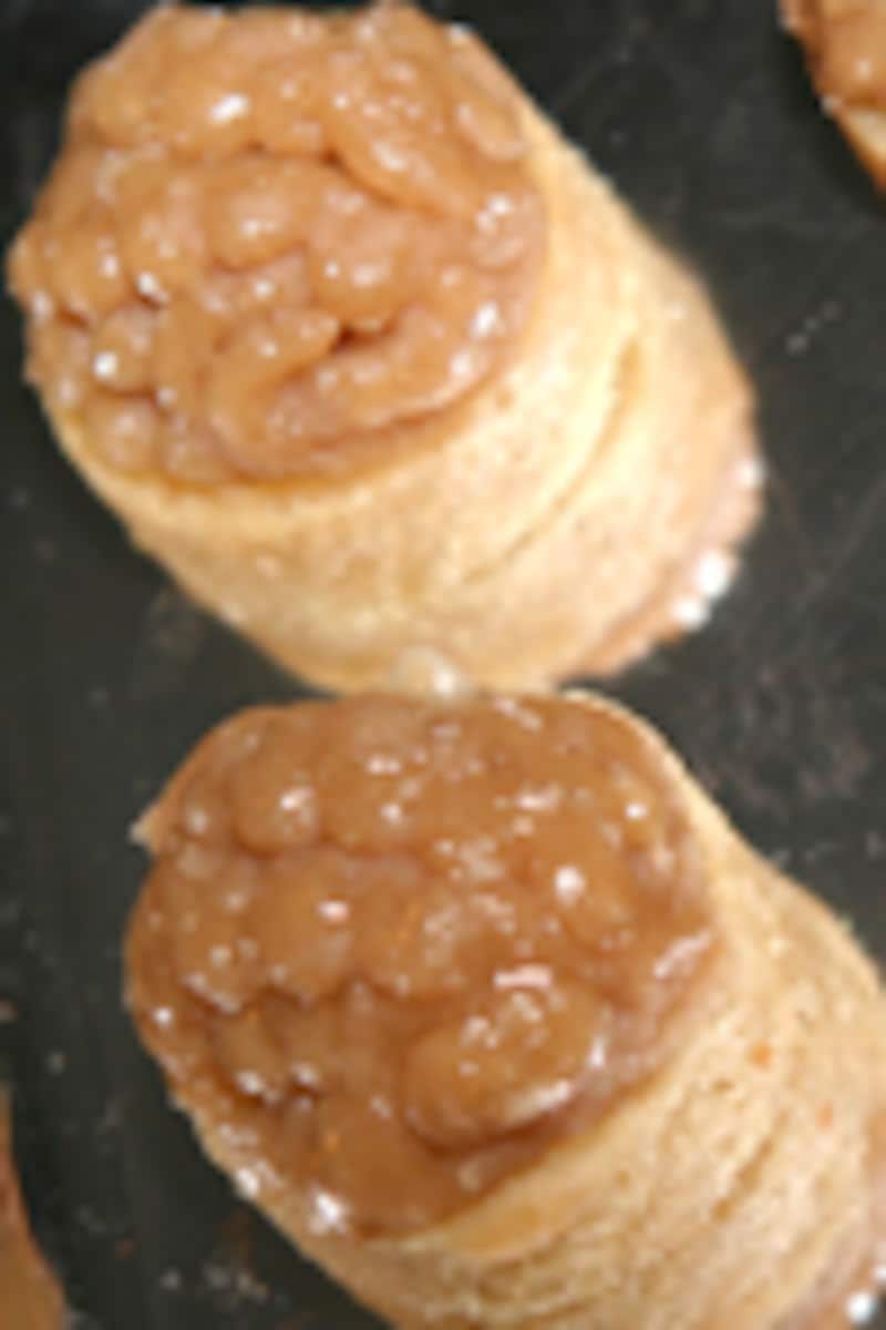 『ハンニバル・ライジング』来日会見