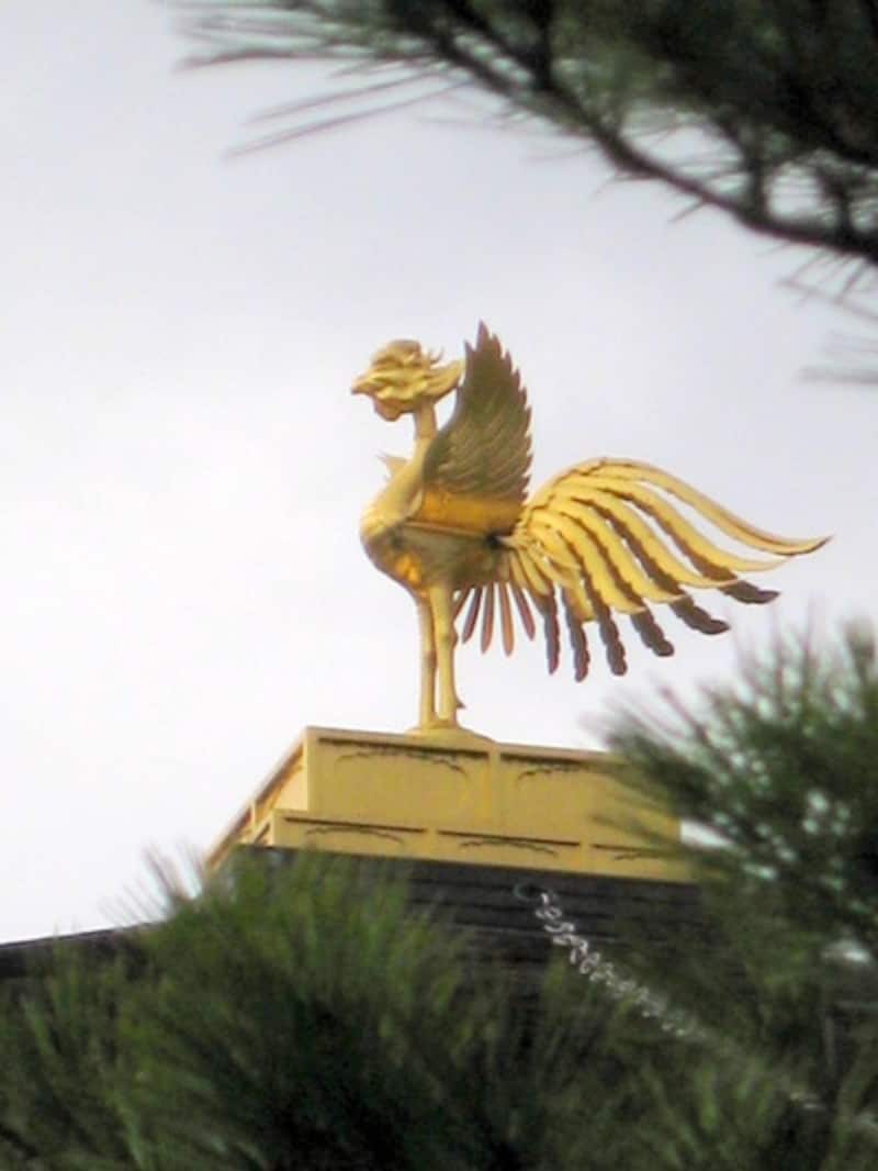 金閣寺の鳳凰は、まさに不死鳥！