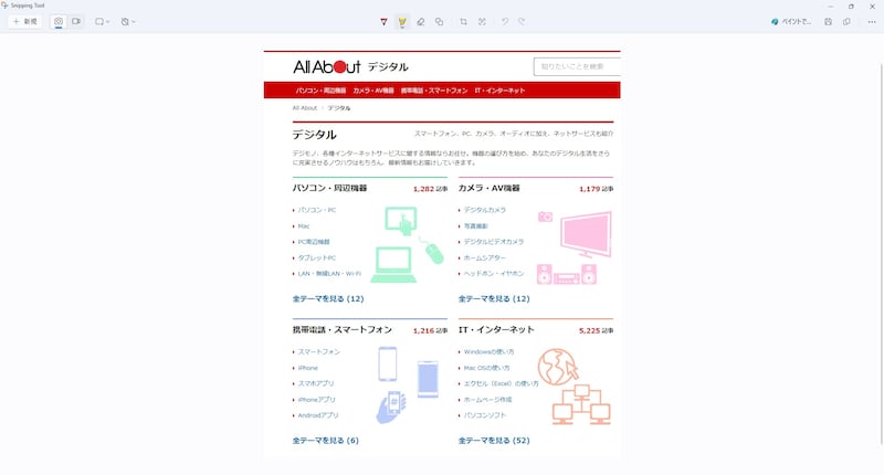 Snipping Toolで画面を切り取った様子