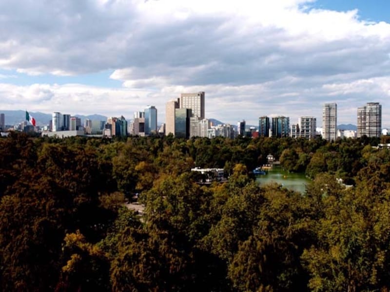 広大なチャプルテペックの森の全景