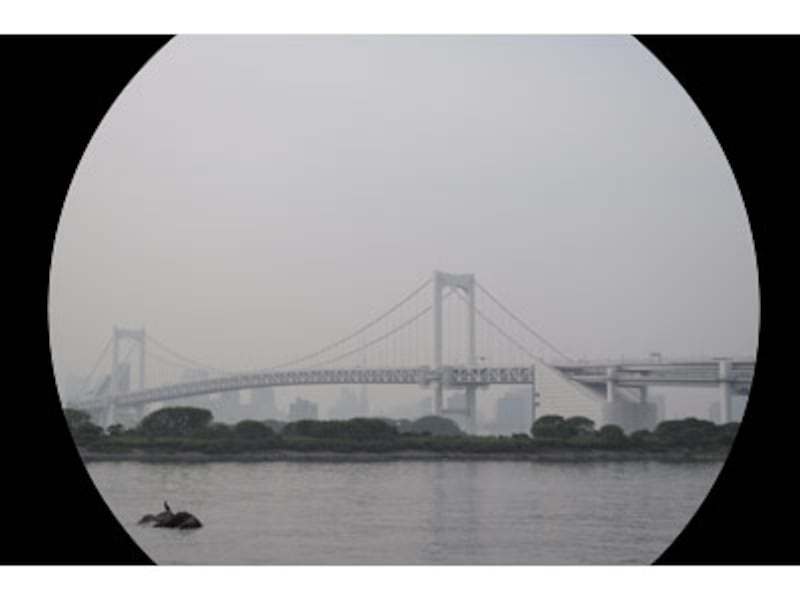 フルサイズでAPS-C用レンズを使った時の概念図。こういった感じで画面隅が撮影できない。