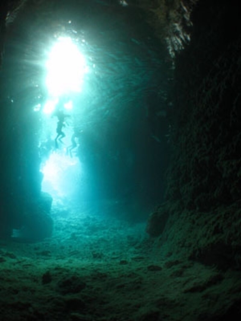 幻想的な世界へと誘ってくれる青の洞窟でのダイビング