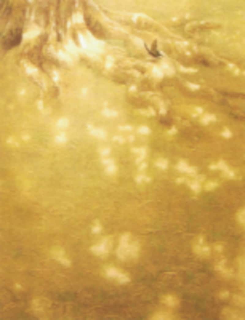 坂本藍子