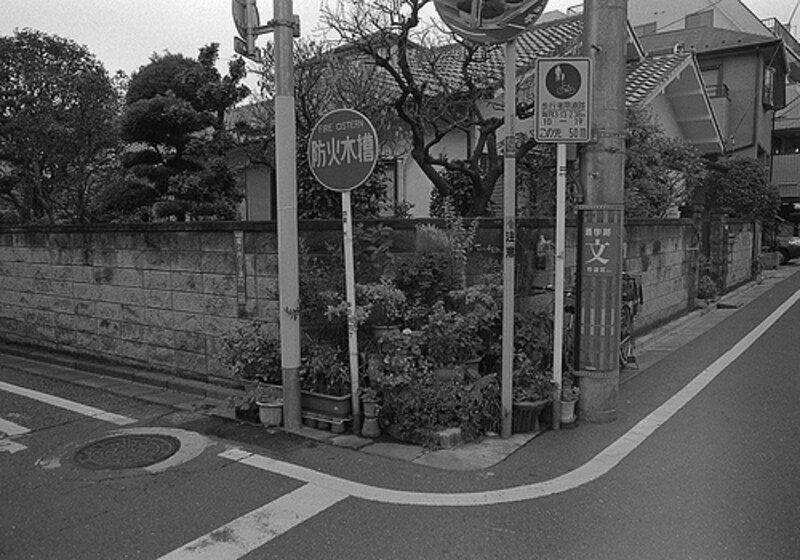 画像の代替テキスト