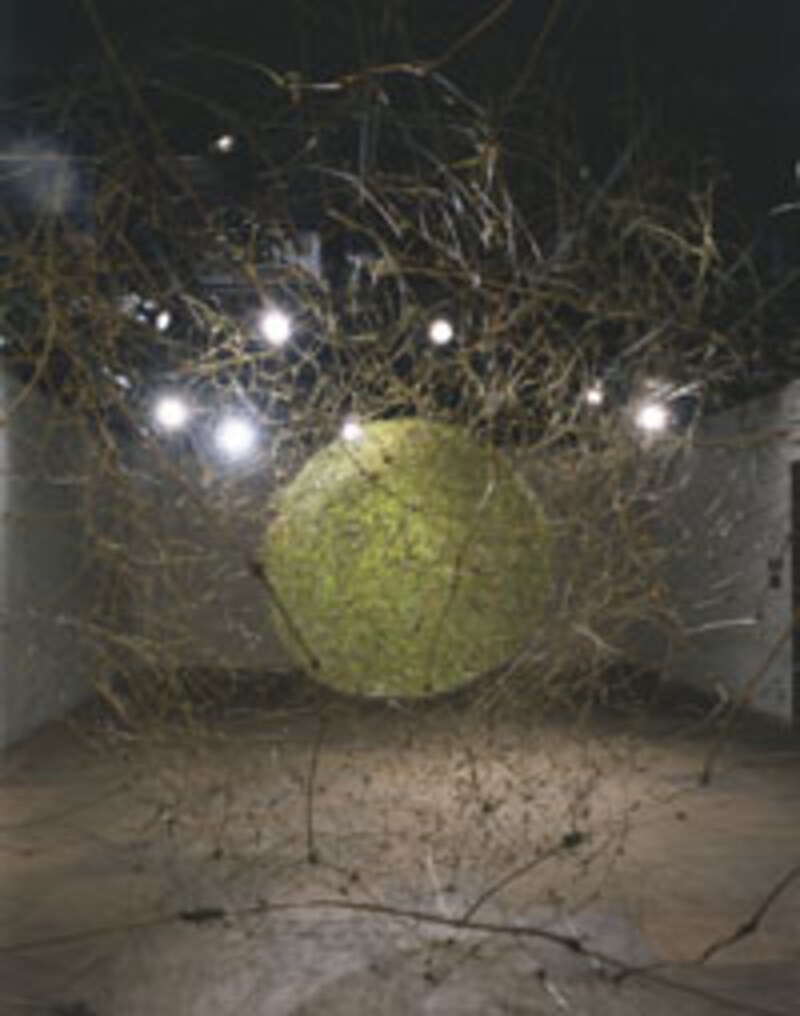 小白倉いけばな美術館