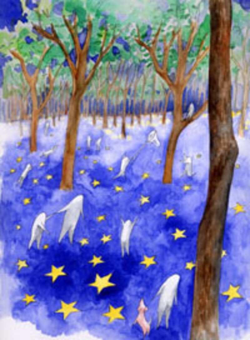 《星の木もれ陽プロジェクト》