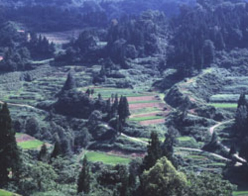 越後妻有に広がる柵田の風景