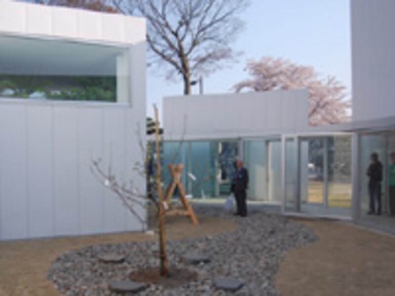 十和田市現代美術館
