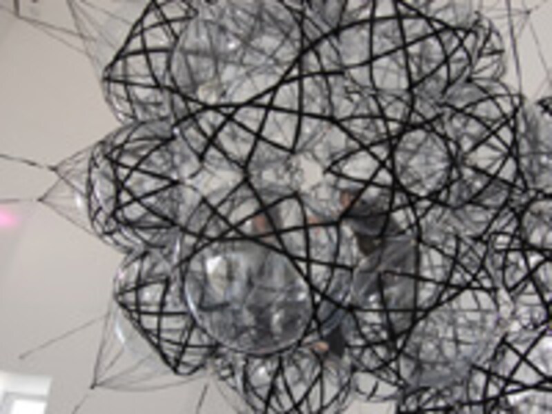 トマス・サラセーノ