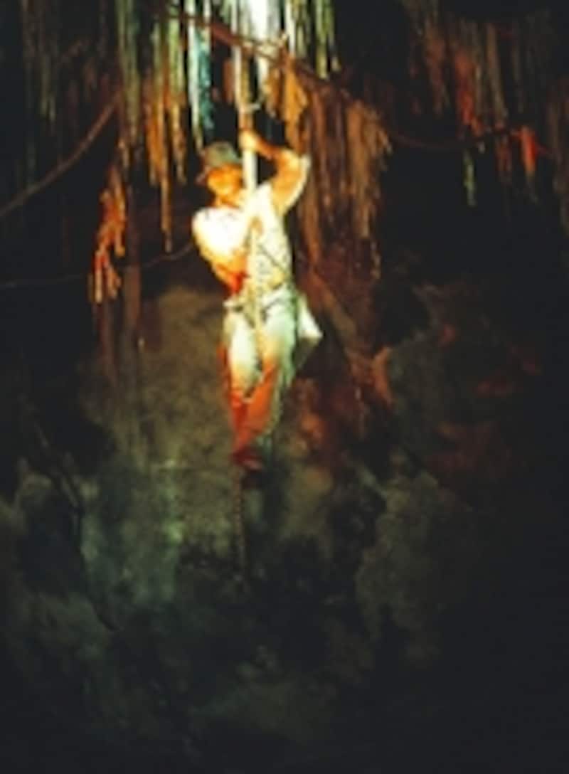 インディ・ジョーンズ・アドベンチャー