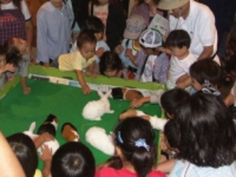 「ウサギ・モルモットふれあい」は、通常、午後早めの約1時間くらい実施