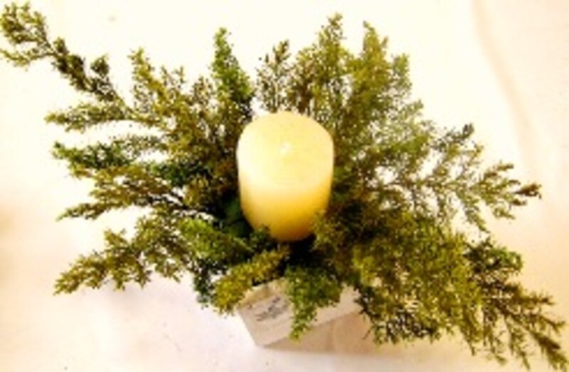 ダイヤモンド型にスギを入れたところ