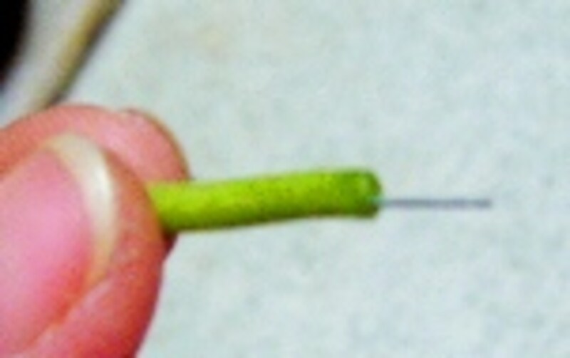 茎にワイヤーを入れたところ