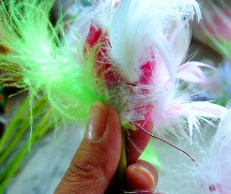 チューリップに羽を巻きつけたところ