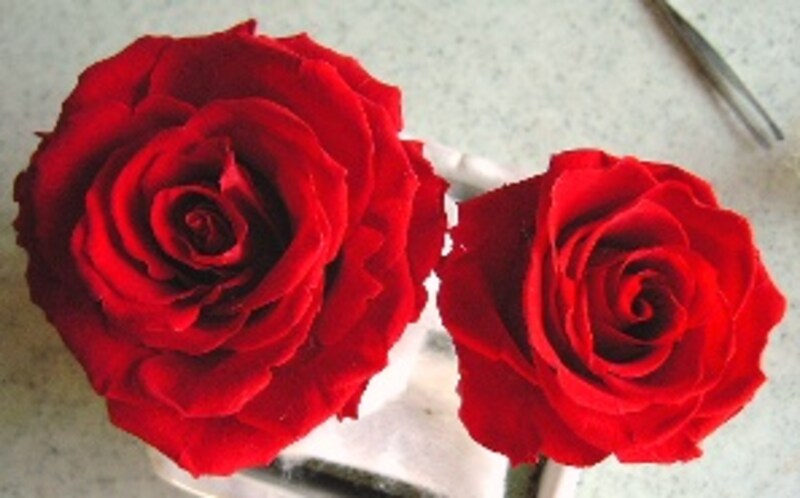 綿を入れて大きくした所