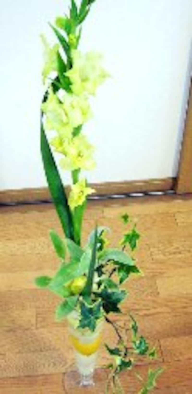 ラムズイヤーとアイビーを入れる