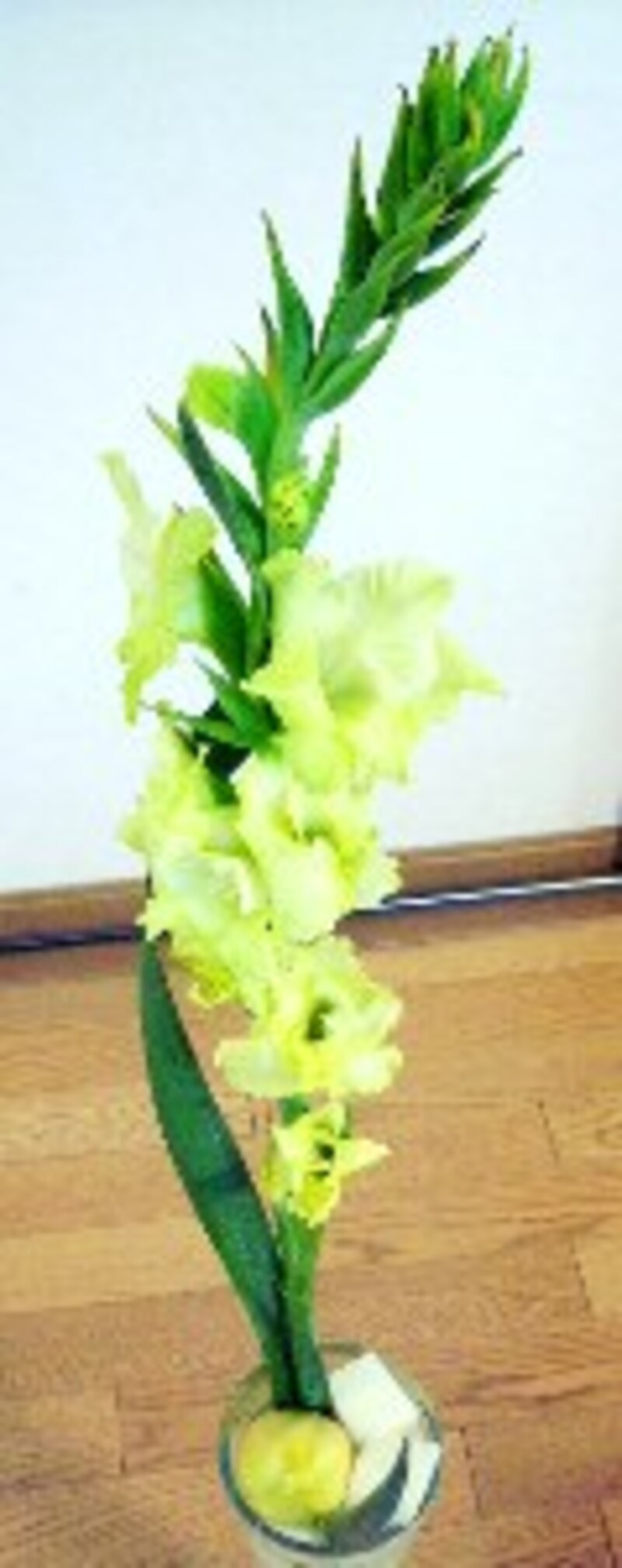 グラジオラスを挿す