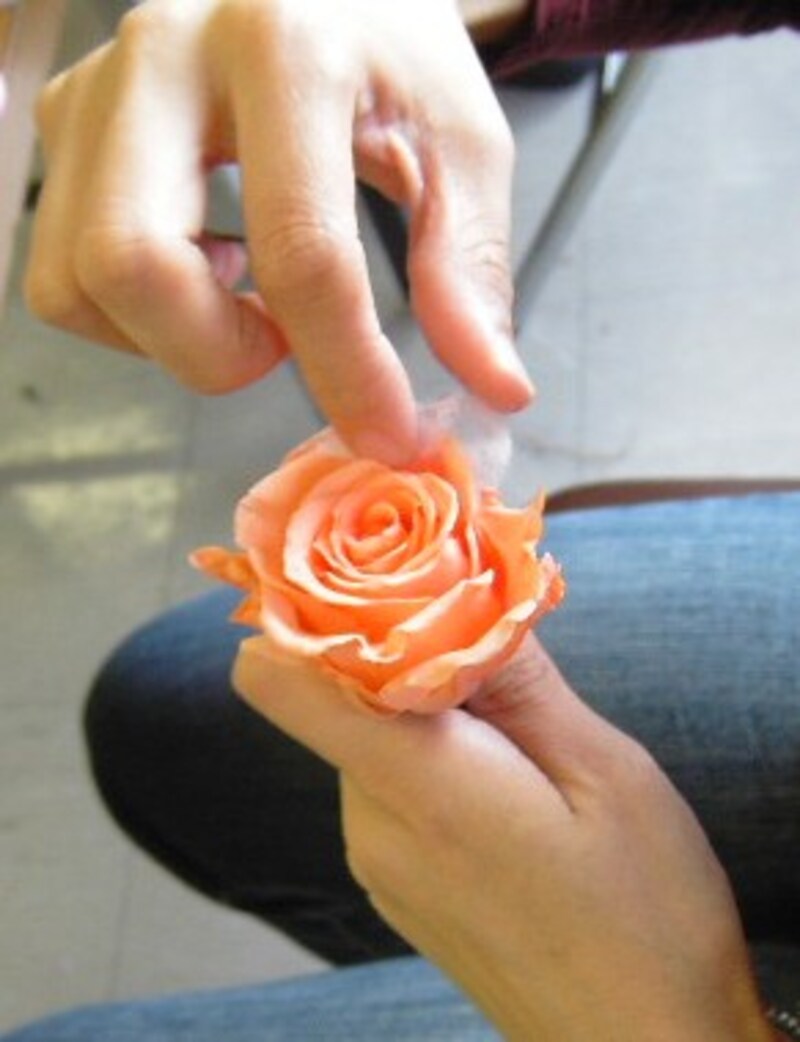 バラに綿つめをする